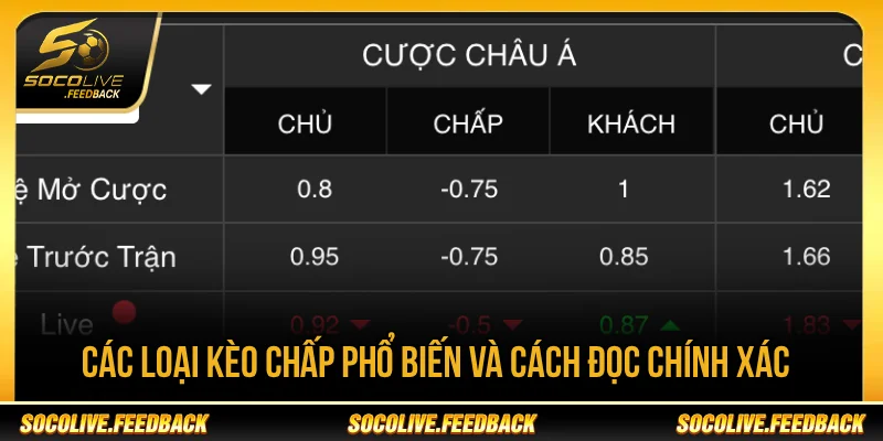 Kèo Chấp Là Gì? Cách Đọc Kèo Handicap Chuẩn Các loại kèo Handicap phổ biến hiện nay