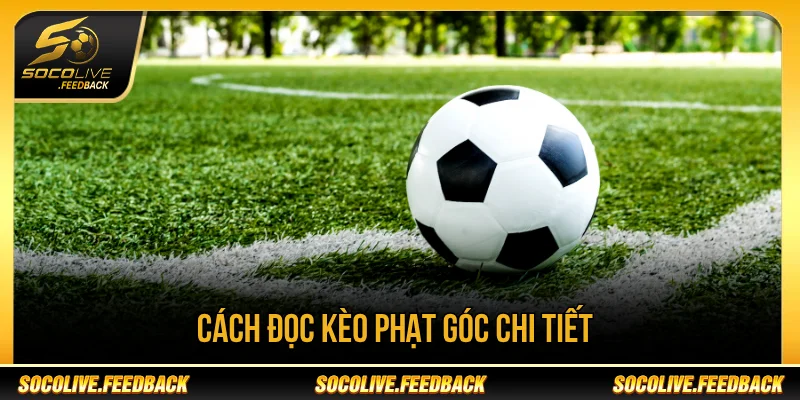 Kèo Phạt Góc Là Gì? Cách Đọc Và Mẹo Phân Tích Hay Hướng dẫn cách đọc kèo phạt góc nhanh nhất