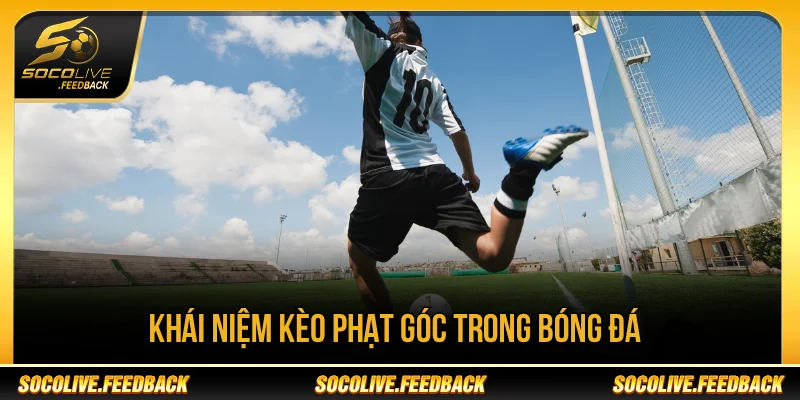 Kèo Phạt Góc Là Gì? Cách Đọc Và Mẹo Phân Tích Hay Khái niệm kèo phạt góc là gì