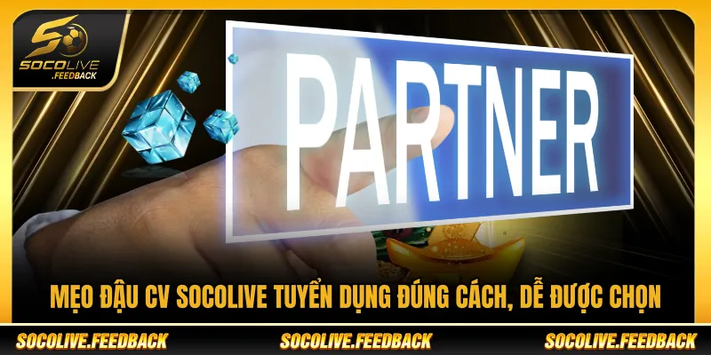 Mẹo chuẩn bị CV Socolive tuyển dụng đúng cách