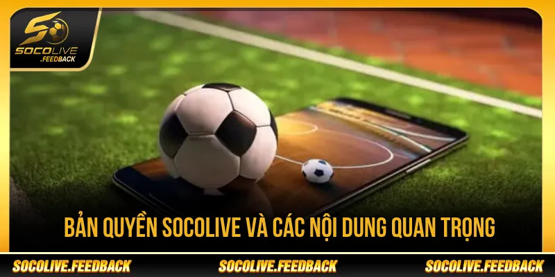 Các nội dung quan trọng trong chính sách bản quyền Socolive