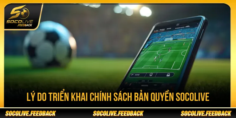 Chính sách bản quyền hỗ trợ xử lý tranh chấp nội dung