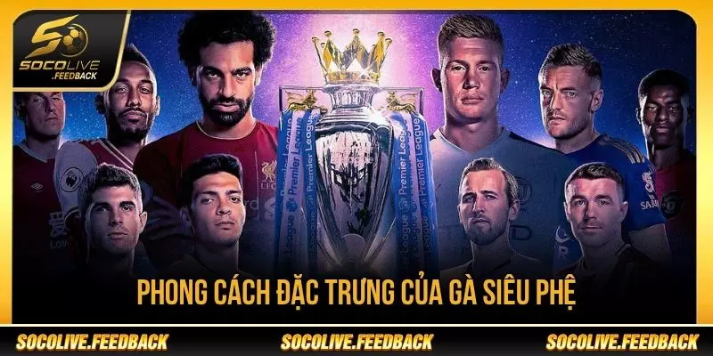Phong cách đặc trưng của Socolive Gà Siêu Phệ