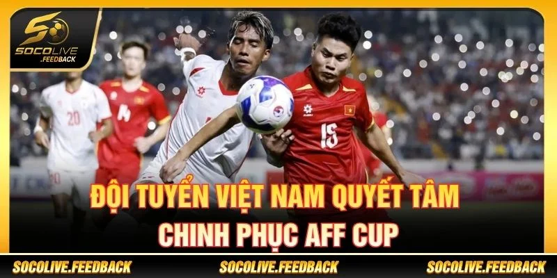 AFF Cup - Lịch Thi Đấu, Kết Quả Và Tin Bóng Đá Đông Nam Á Đội tuyển Việt Nam tại AFF Cup