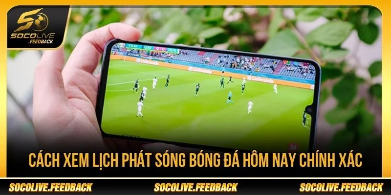 Hướng dẫn tra cứu lịch phát sóng chính xác