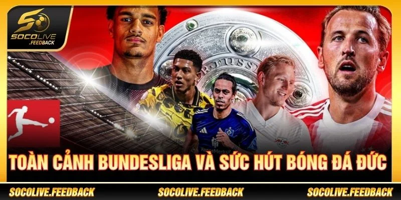 Toàn cảnh Bundesliga và sức hút của bóng đá Đức