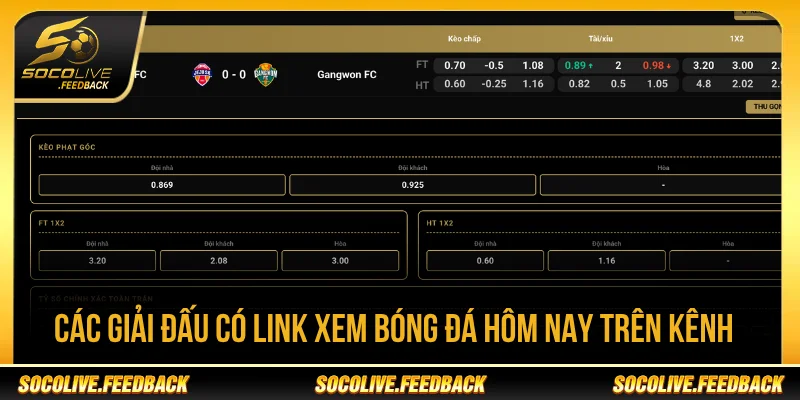 Truy cập các giải đấu bằng link xem bóng đá hôm nay
