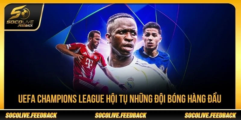 UEFA Champions League hội tụ những đội bóng hàng đầu UEFA Champions League hội tụ những câu lạc bộ hàng đầu châu Âu