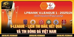 V-League - Lịch Thi Đấu, Kết Quả Và Tin Bóng Đá Việt Nam