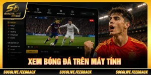 xem bóng đá trên máy tính
